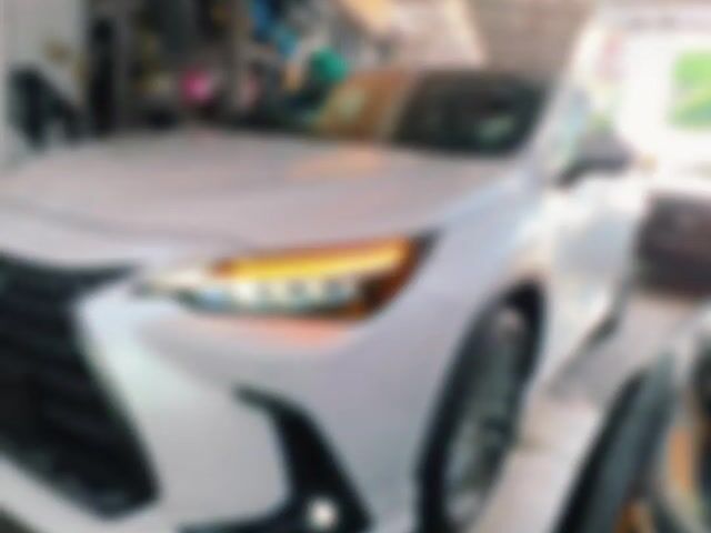 Lexus NX250 2.5 VL 5A MODELLISTA ORI 2023 JPN UNRE - 1
