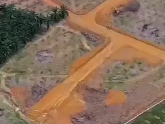 Video Image 1