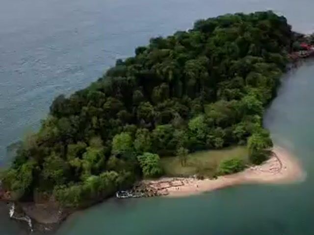 Video Image 1