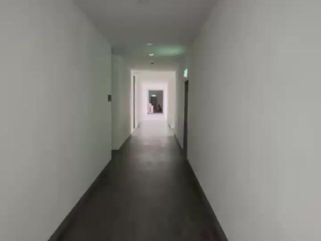 Video Image 1