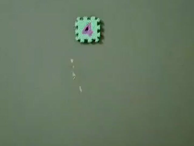 Video Image 1