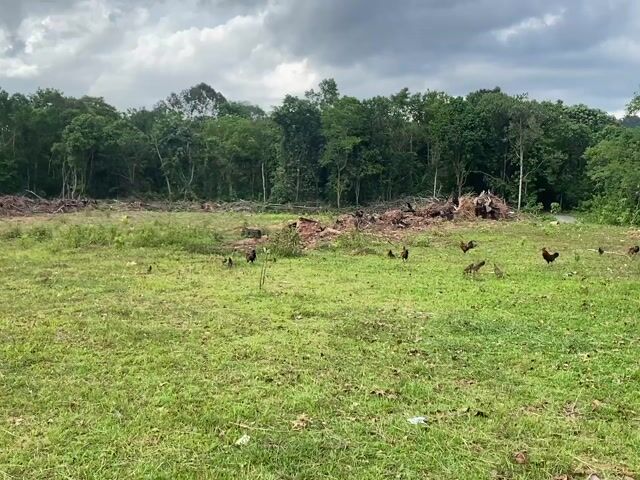 Video Image 1