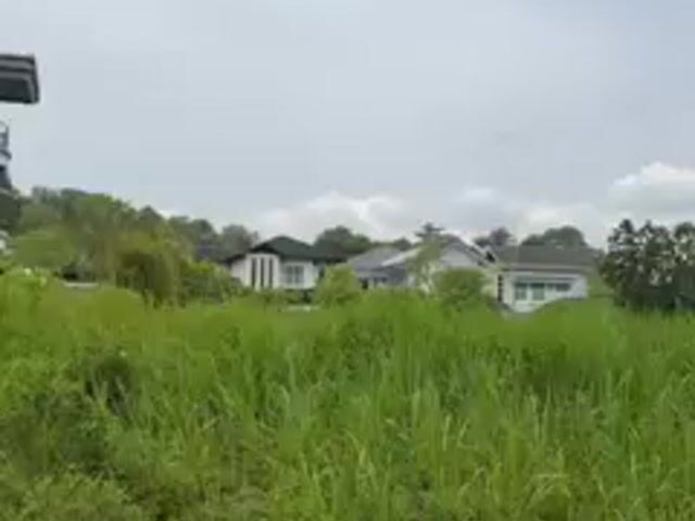 Video Image 1