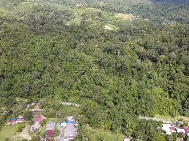 Video Image 1