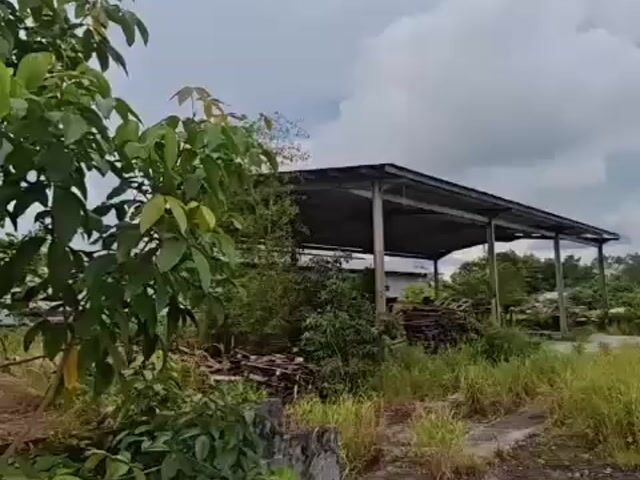 Video Image 1
