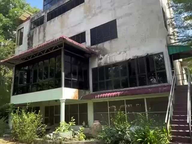 Video Image 1