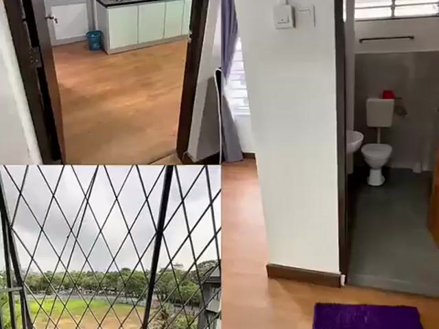 Video Image 1