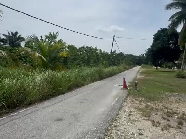 Video Image 1