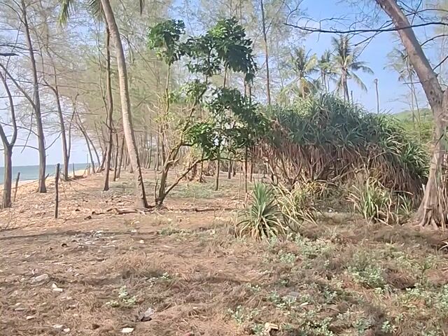 Video Image 1