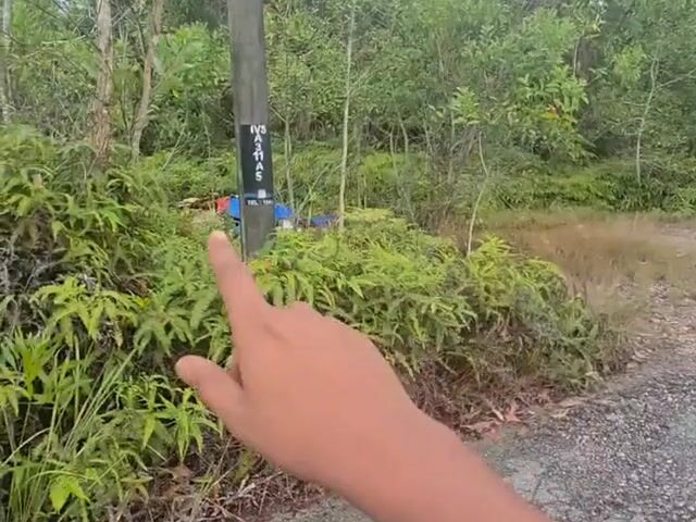 Video Image 1
