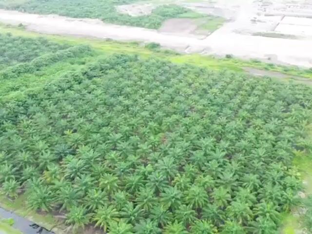 Video Image 1