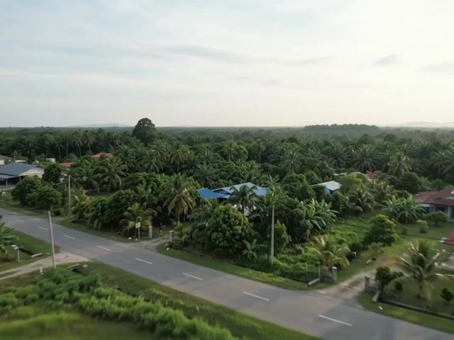 Video Image 1