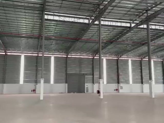 Video Image 1