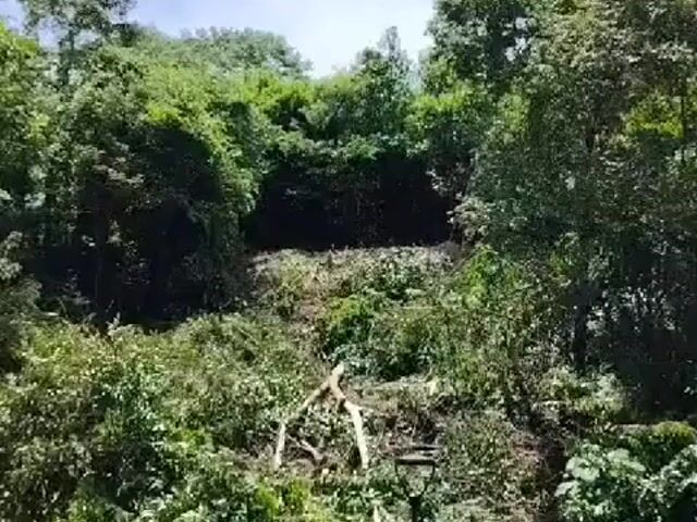 Video Image 1