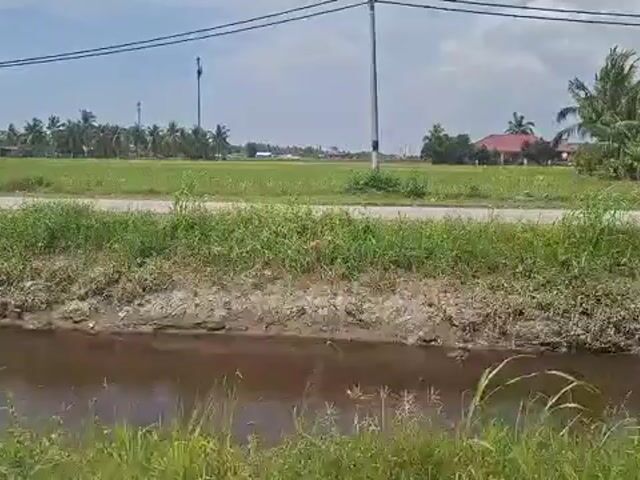 Video Image 1