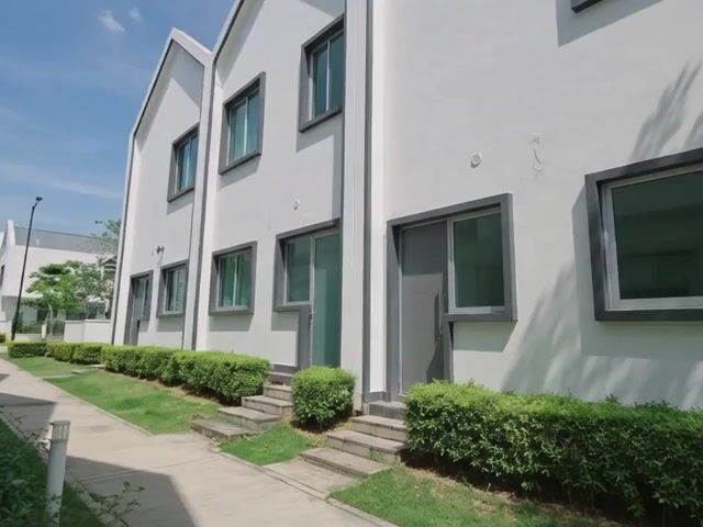 Video Image 1