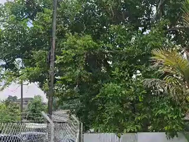 Video Image 1