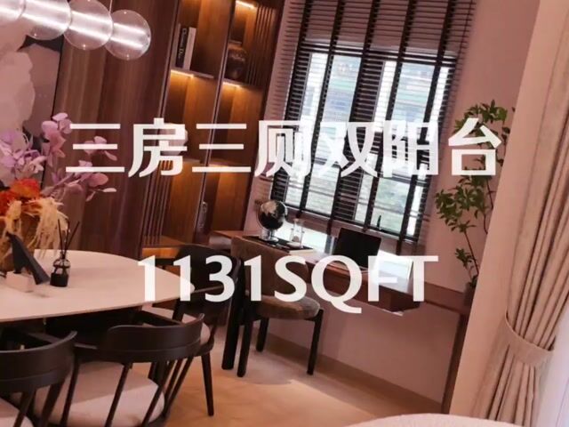 Video Image 1