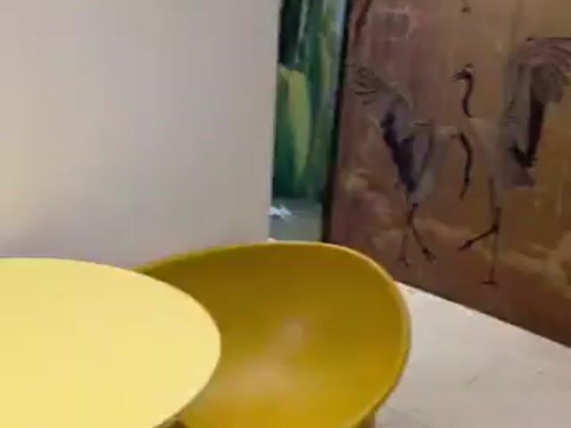 Video Image 1