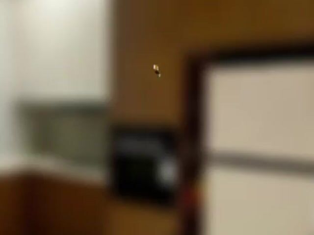 Video Image 1