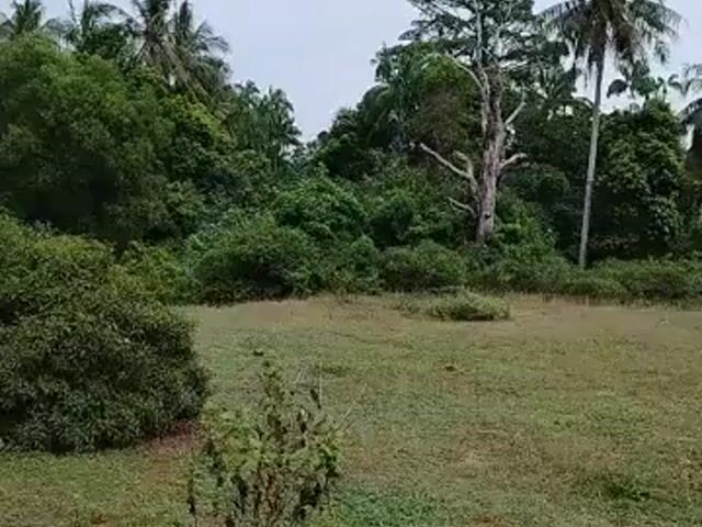 Video Image 1