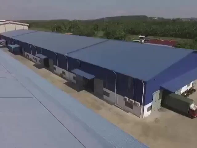 Video Image 1