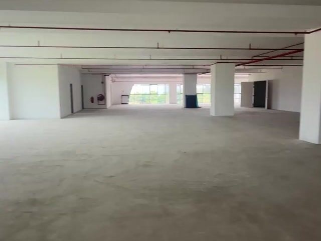 Video Image 1