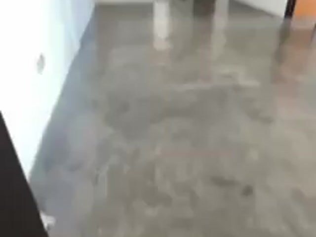 Video Image 1