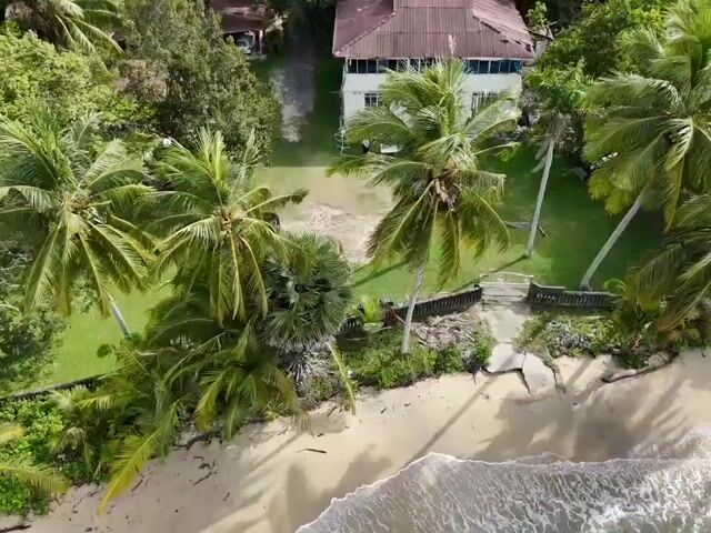 Video Image 1