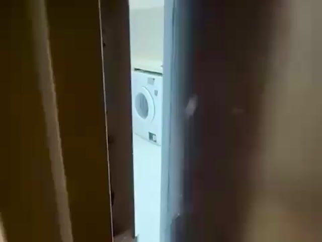 Video Image 1
