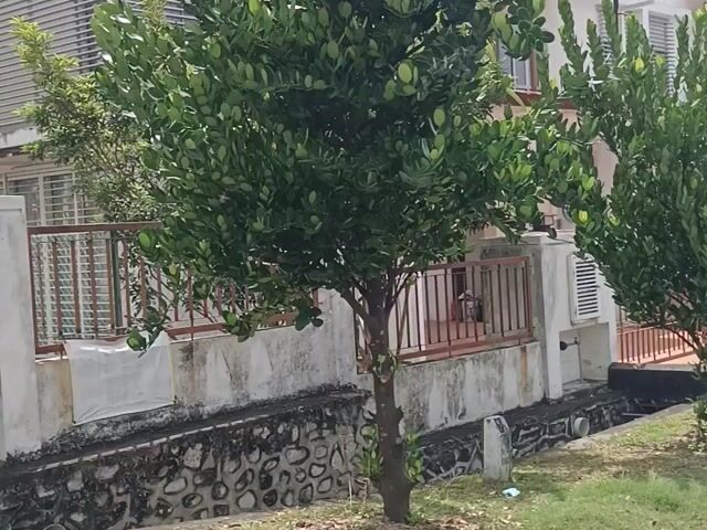 Video Image 1