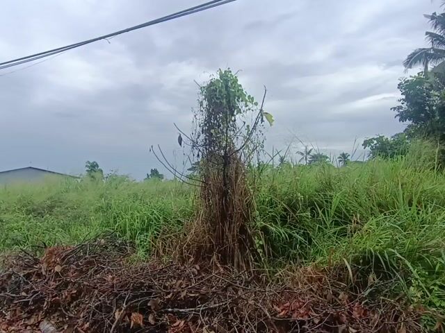 Video Image 1