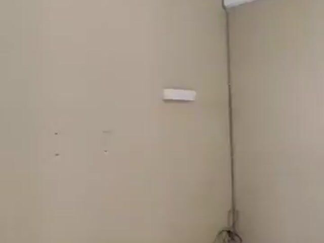 Video Image 1