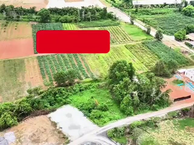 Video Image 1