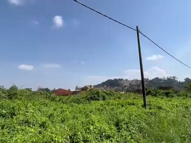 Video Image 1
