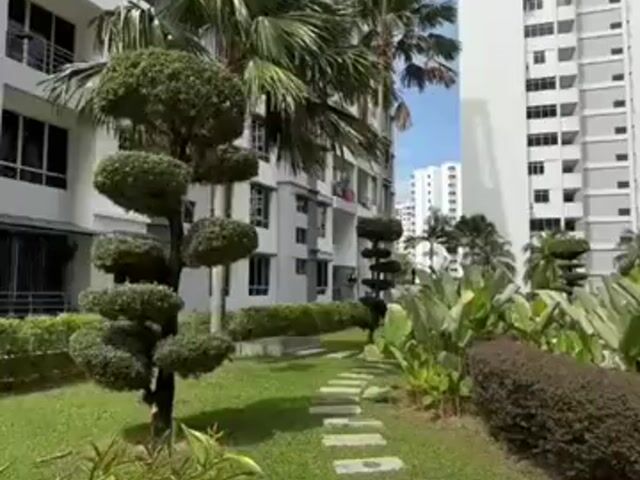 Video Image 1