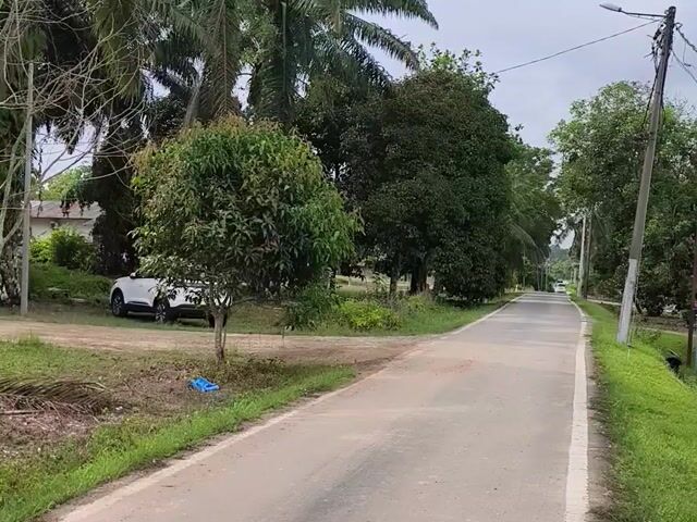 Video Image 1