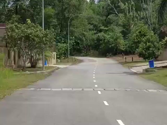 Video Image 1