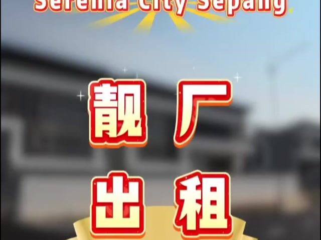 Video Image 1