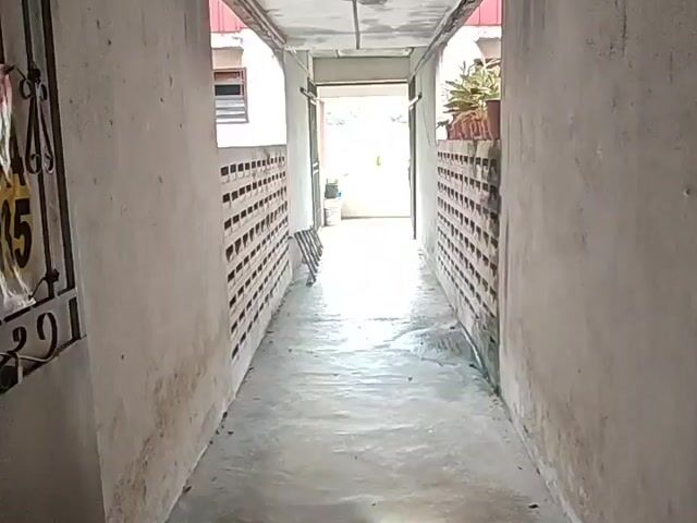 Video Image 1