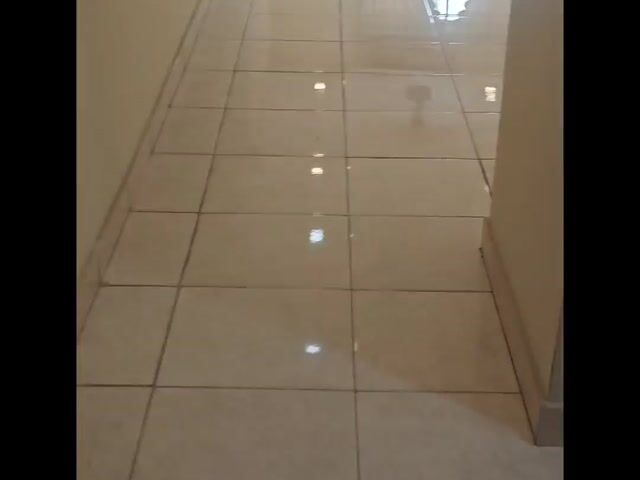 Video Image 1