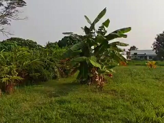 Video Image 1