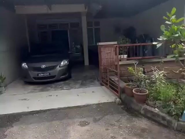 Video Image 1