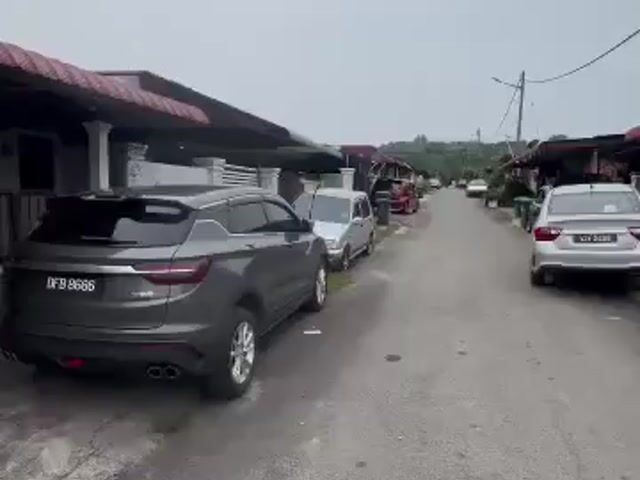 Video Image 1