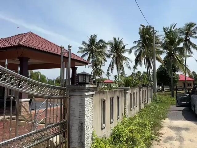 Video Image 1