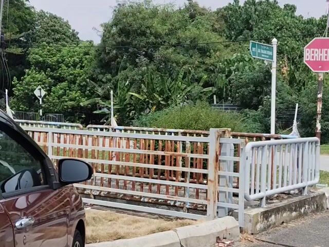 Video Image 1