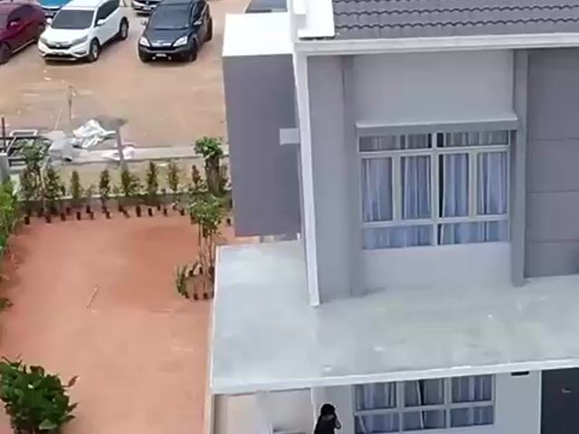 Video Image 1