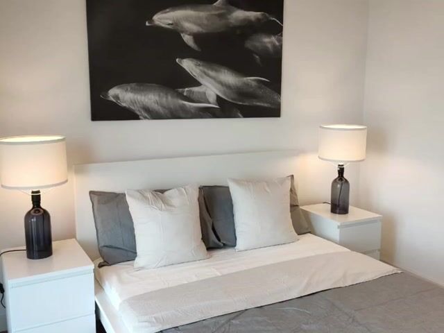 Video Image 1