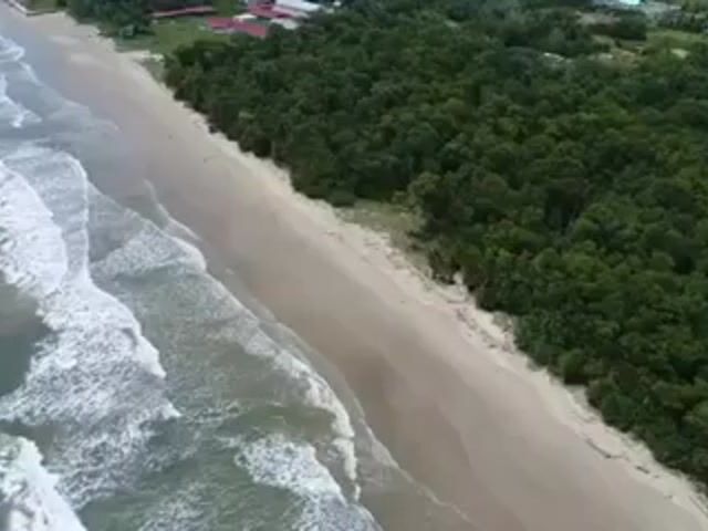 Video Image 1