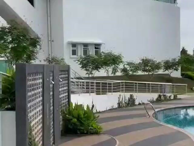 Video Image 1